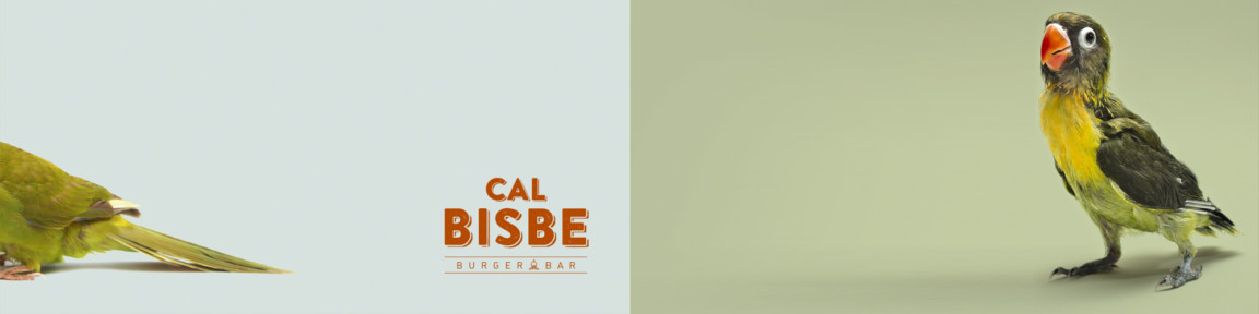 Cal Bisbe Cal Bisbe