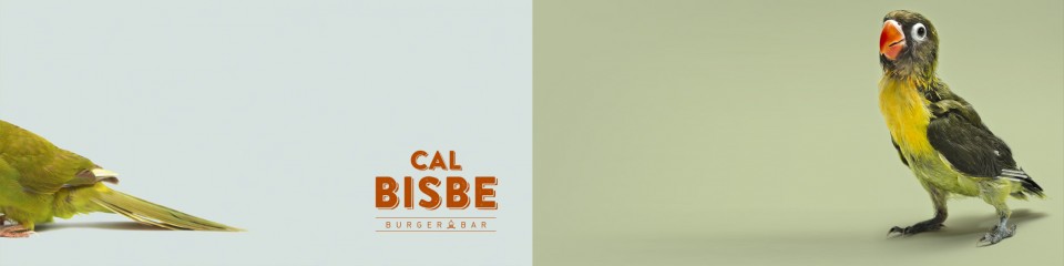 Cal Bisbe Cal Bisbe