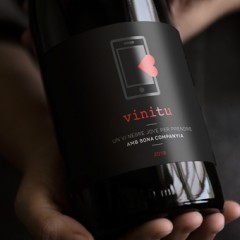 Vinitu Vinitu